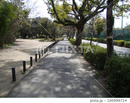豊橋公園 100999724