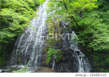 龍双ヶ滝　福井県今立郡池田町 101002110