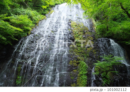 龍双ヶ滝　福井県今立郡池田町 101002112