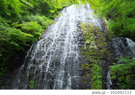 龍双ヶ滝　福井県今立郡池田町 101002113