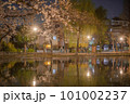 水面に映る夜桜 101002237