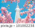 河津桜とスカイツリー 101002238