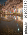 川面に映る夜桜 101002239
