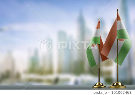 Small flags of the Niger on an abstract blurry background 101002463