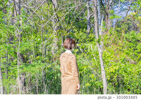 北海道の森を見つめる女性 101003885