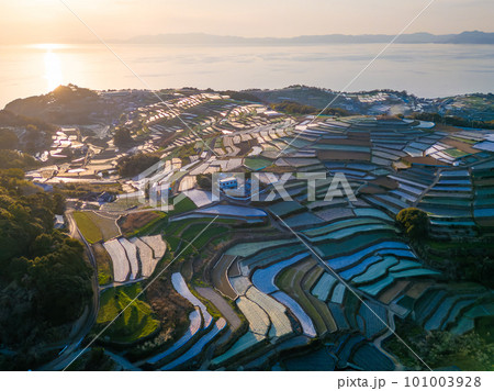 南串山棚畑展望台からの棚畑 南串山棚畑展望台からの棚畑 101003928