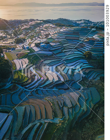 南串山棚畑展望台からの棚畑 南串山棚畑展望台からの棚畑 101003929