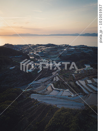 南串山棚畑展望台からの棚畑 101003937