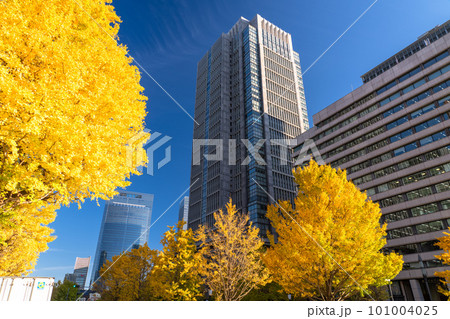 《東京都》秋の東京丸の内・色づくイチョウの行幸通り 《東京都》秋の東京丸の内・色づくイチョウの行幸通り 101004025