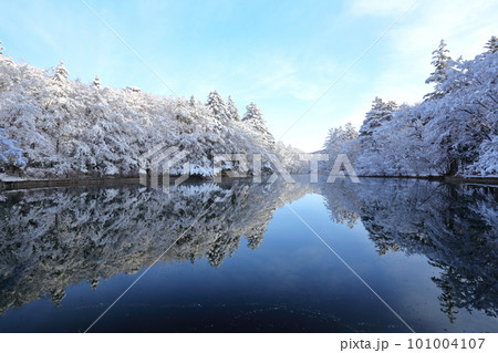 雲場池の雪化粧 101004107