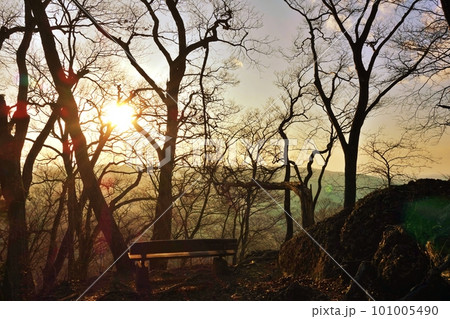 茨城県大子町 月居山山頂のベンチから見える夕日 茨城県大子町 月居山山頂のベンチから見える夕日 101005490