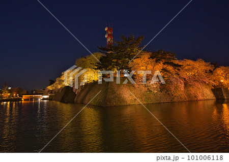 福井県庁お堀の夜桜 福井県庁お堀の夜桜 101006118