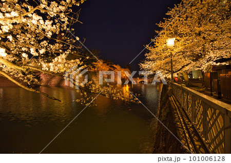 福井県庁お堀の夜桜 福井県庁お堀の夜桜 101006128
