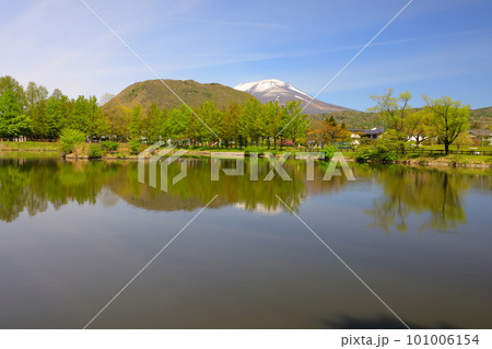 新緑に包まれた春の浅間山 101006154