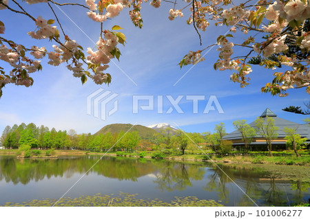 桜に囲まれた矢ケ崎公園の風景 101006277