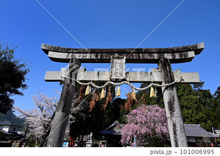 薭田野神社 鳥居と青空 薭田野神社 鳥居と青空 101006995