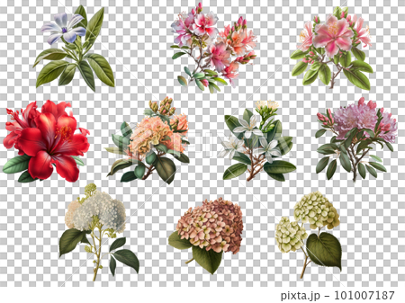 Flower assortment set 1 (watercolor) 101007187