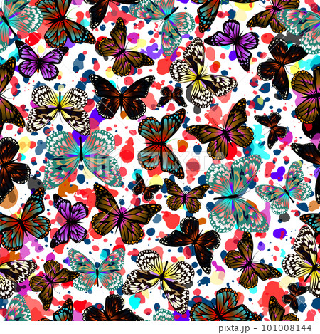 Butterflies seamless background. Vector illustration 101008144