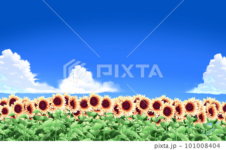 夏のイラスト素材・入道雲とヒマワリ畑 -遠景- 青空背景  差分あり 101008404