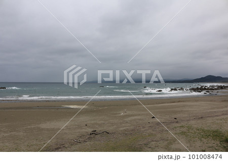 入野松原 101008474