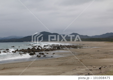 入野松原 101008475