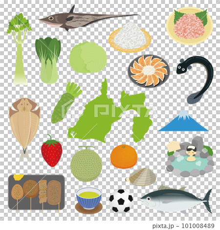 静岡県の名物のイラストセット 静岡県の名物のイラストセット 101008489