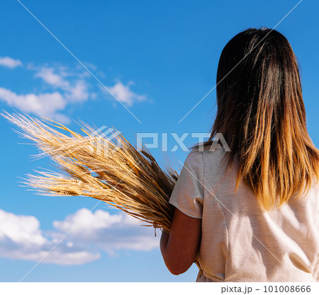 Farm girl holding wheat ears on a field Farm girl holding wheat ears on a field 101008666
