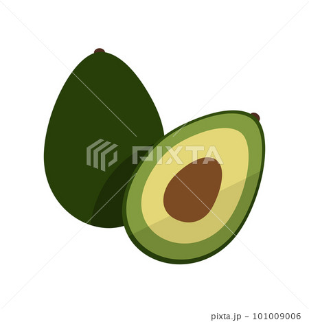 Avocado fruit flat style vector illustration. Avocado whole and cut fruit. 101009006