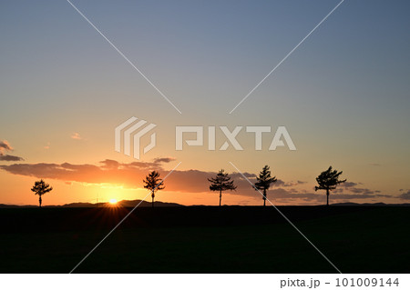 メルヘンの丘 101009144