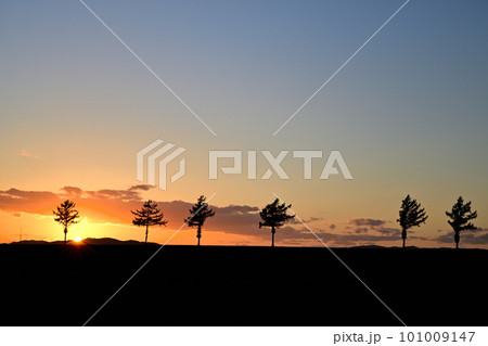 メルヘンの丘 メルヘンの丘 101009147