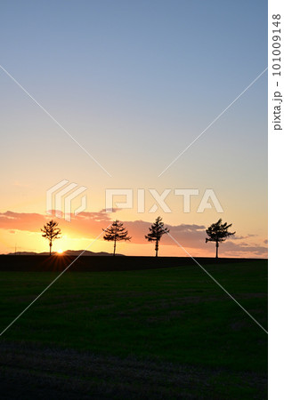 メルヘンの丘 101009148