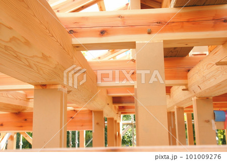 木造建築の木造構造 木造建築の木造構造 101009276