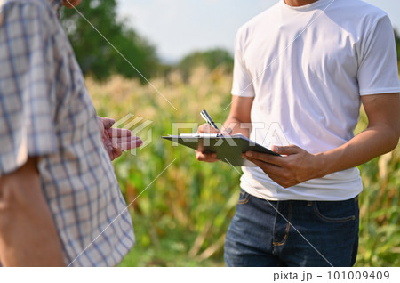 An Asian male corn field owner talking and working with an old farmer. Agricultural business An Asian male corn field owner talking and working with an old farmer. Agricultural business 101009409
