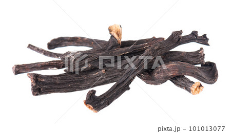 Common comfrey root isolated on white background. Dry roots of Symphytum officinale. 101013077