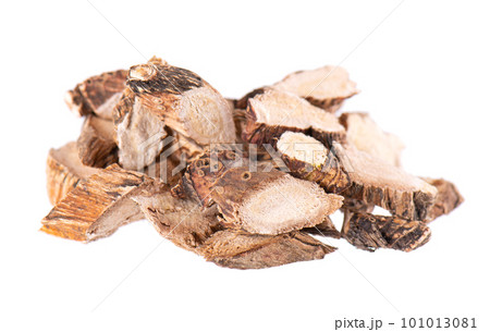 Calamus root isolated on white background. Sweet flag, sway or muskrat root, vasambu. Dry root of Acorus calamus. 101013081