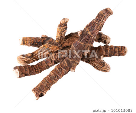 Calamus root isolated on white background. Sweet flag, sway or muskrat root, vasambu. Dry root of Acorus calamus. Calamus root isolated on white background. Sweet flag, sway or muskrat root, vasambu. Dry root of Acorus calamus. 101013085