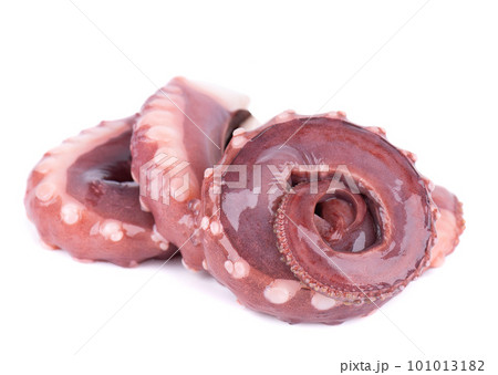 Squid tentacles isolated on white background. Fresh raw gigant squid. 101013182