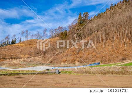 青空と森林伐採 松本市 青空と森林伐採 松本市 101013754