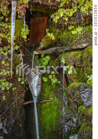 徳本水【上伊那郡辰野町】 101013850
