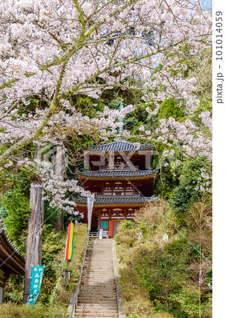 【奈良県】大和郡山市 松尾寺  (2023/03/27撮影) 101014059