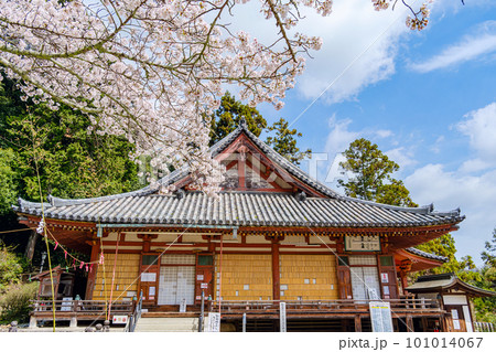 【奈良県】大和郡山市 松尾寺  (2023/03/27撮影) 101014067
