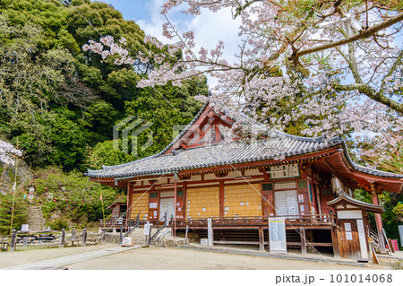 【奈良県】大和郡山市 松尾寺  (2023/03/27撮影) 101014068