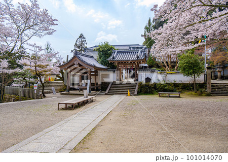 【奈良県】大和郡山市 松尾寺  (2023/03/27撮影) 101014070