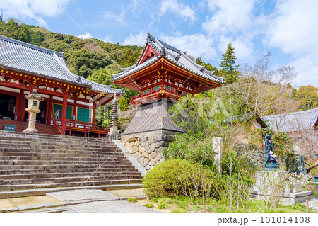 【奈良県】大和郡山市 矢田寺(金剛山寺)  (2023/03/27撮影) 101014108
