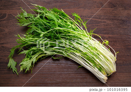 緑黄色野菜の水菜 緑黄色野菜の水菜 101016395