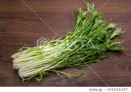 緑黄色野菜の水菜 緑黄色野菜の水菜 101016397