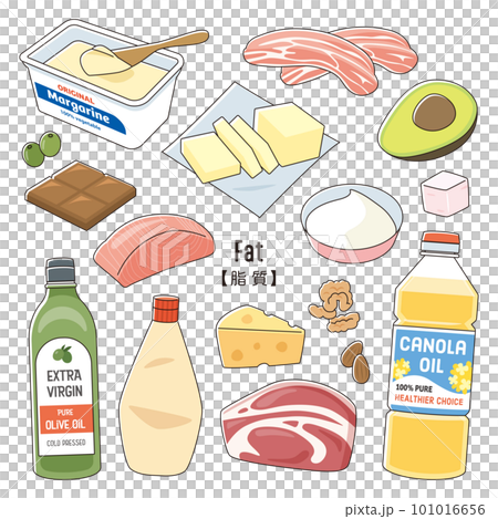 脂質 食べ物セット 脂質 食べ物セット 101016656