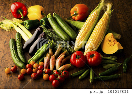 夏野菜　集合 101017331