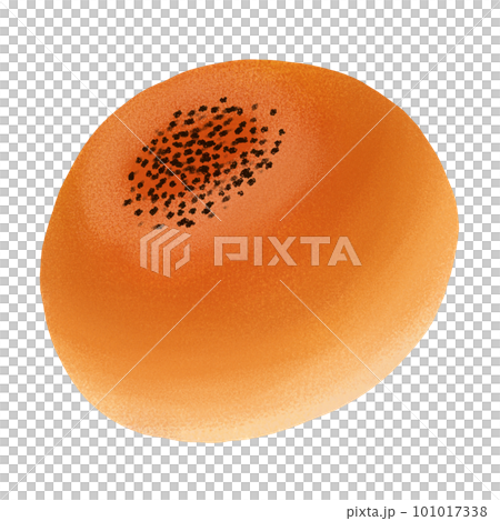 美味的anpan 101017338