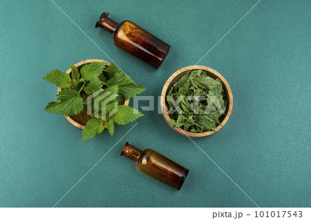 Fresh and dry nettle. 101017543